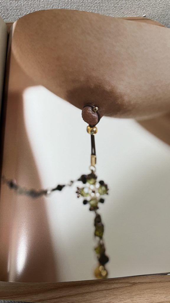 Dan Mitsu Japanese Photobook "Be my slave" | 2012 | Masashi Hashimoto_nipple