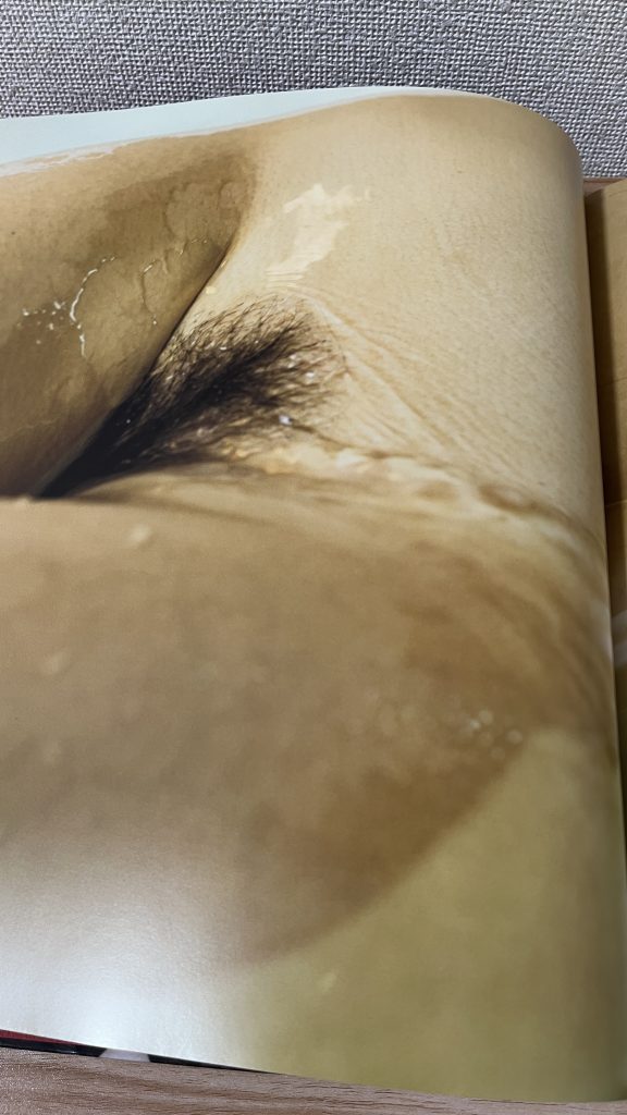 Dan Mitsu Japanese Photobook "Be my slave" | 2012 | Masashi Hashimoto_it is pussy hair